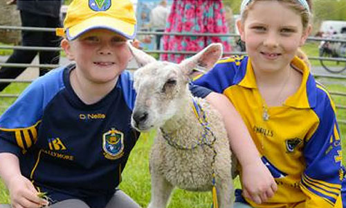 Roscommon-Lamb-Festval