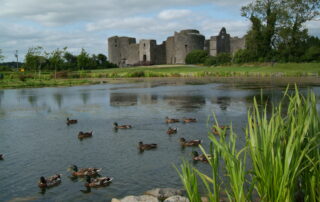 Roscommon_Castle