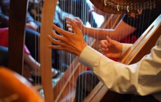 Harp Playing