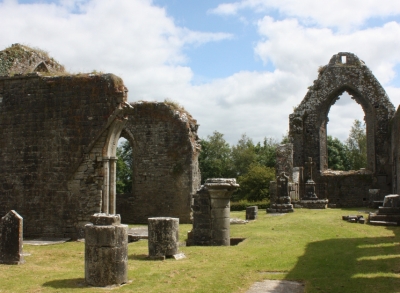 Roscommon-Abbey-Activities-3 Gleesons Gallery