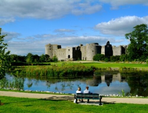 Unveiling Loughnaneane Park’s Hidden Gems: The Sculpture Trail
