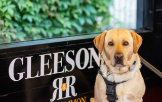 Dog friendly getaways in Roscommon